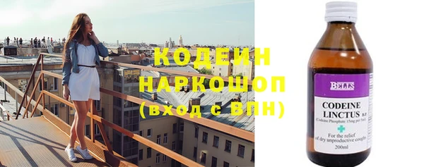 дмт Богданович
