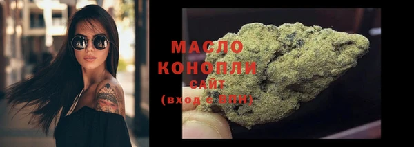 дмт Богданович