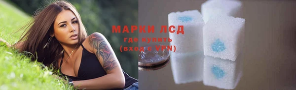 дмт Богданович