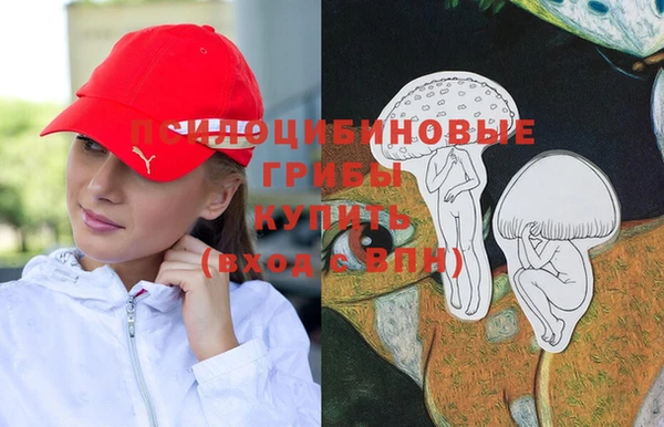 дмт Богданович