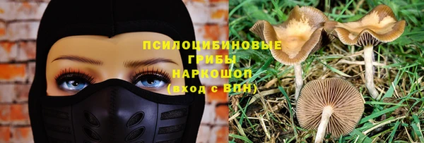 дмт Богданович