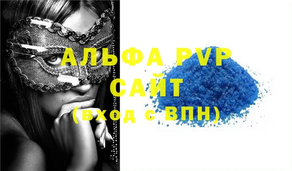дмт Богданович