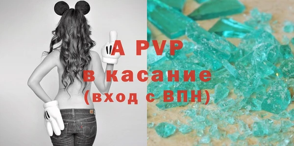 дмт Богданович
