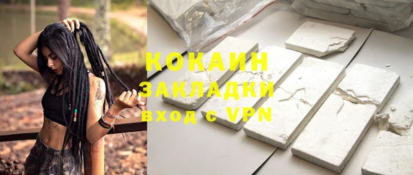 дмт Богданович