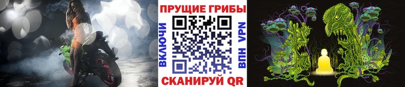 хочу   Шлиссельбург  Псилоцибиновые грибы ЛСД 